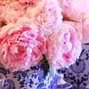 Meet your Posher, Katherine